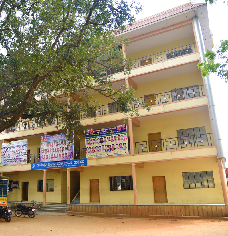 Sri Basaveshwar First Grade College, Shimoga